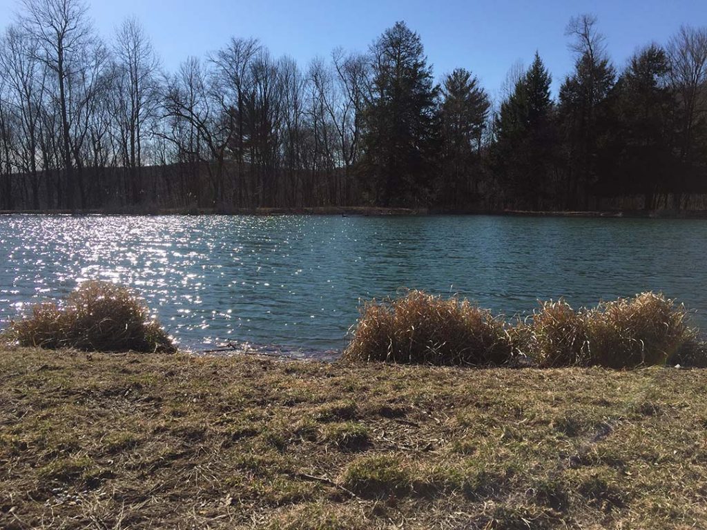 Pond Lumber City RV Park